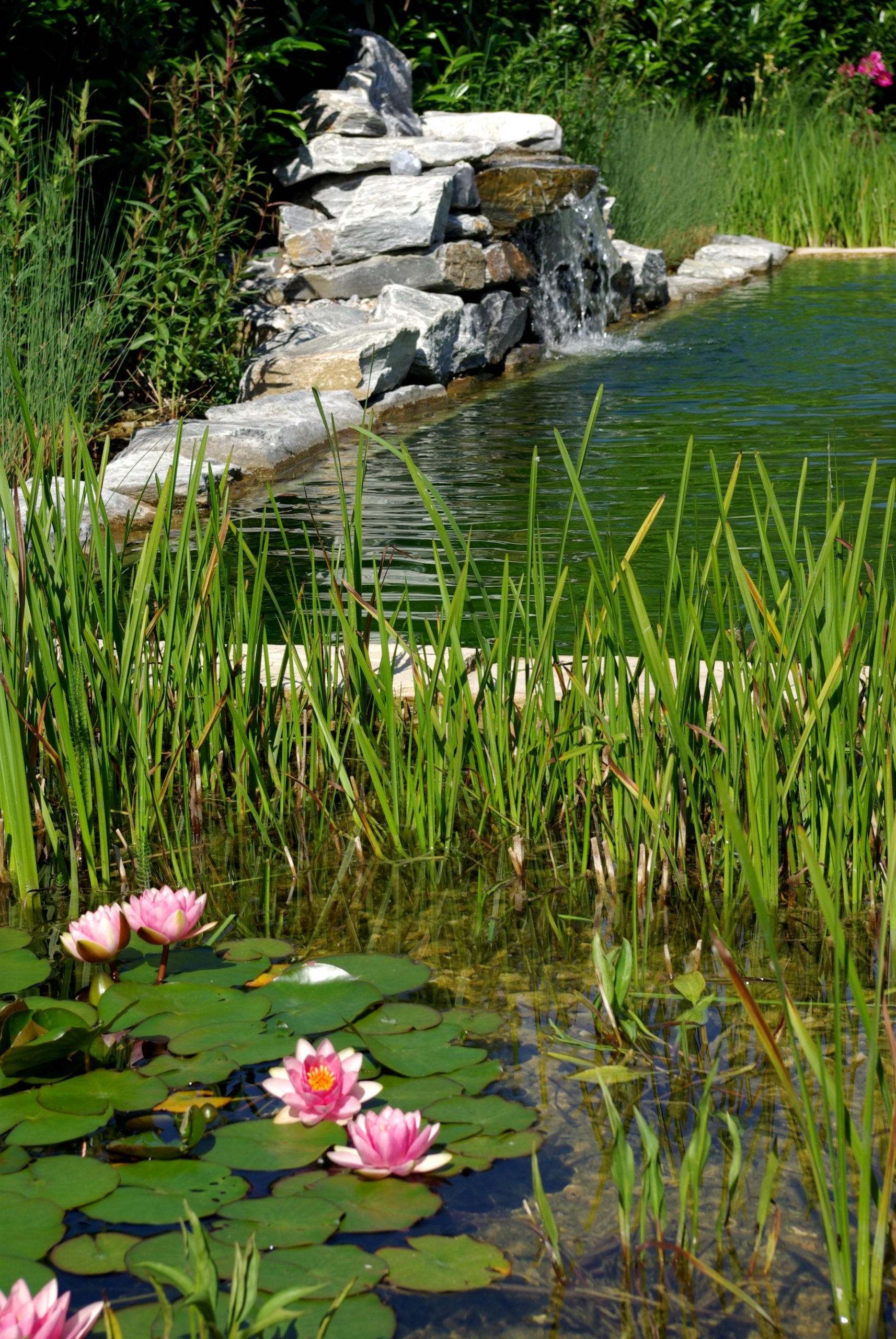 Schwimmteich mit Wasserfall zur Wasserzirkulation