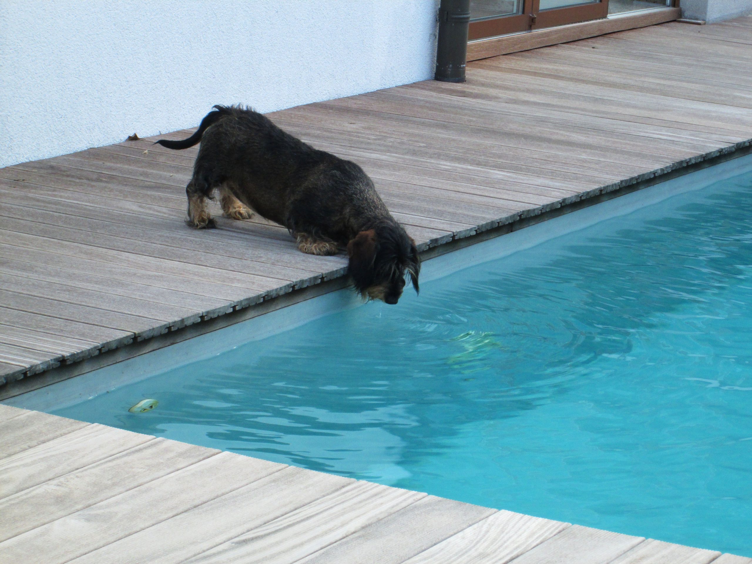 naturpool_3258