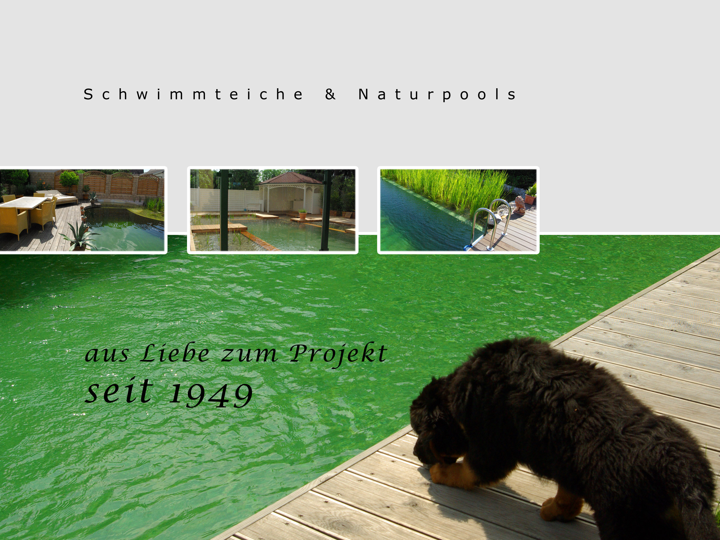 Tauchner-Prospekt zu Naturpools und Schwimmteichen